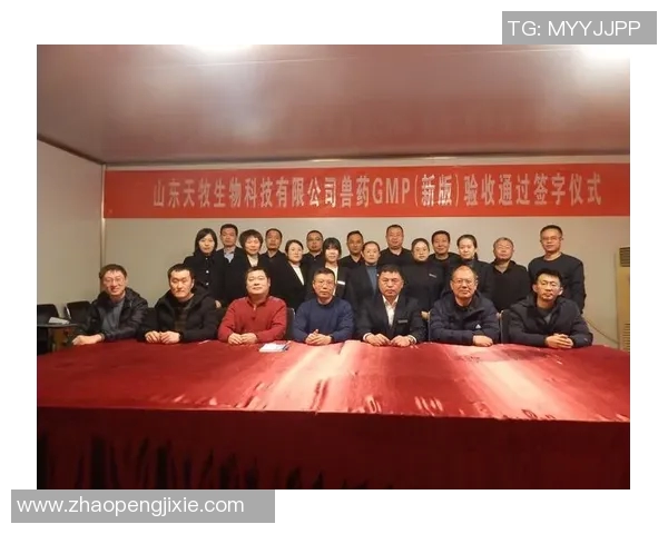 深圳排球队的崛起之路联合会杯背后的奋斗与荣耀