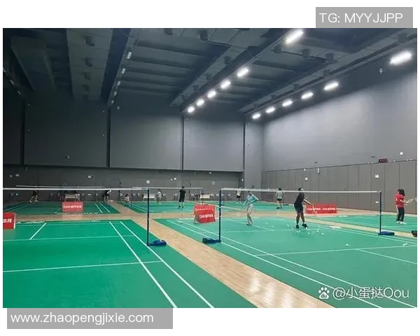 深圳羽毛球队奋斗历程的真实记录与成长之路